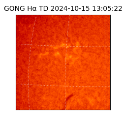 gong - 2024-10-15T13:05:22