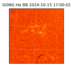 gong - 2024-10-15T17:00:02