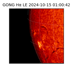 gong - 2024-10-15T01:00:42