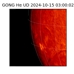 gong - 2024-10-15T03:00:02