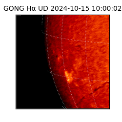 gong - 2024-10-15T10:00:02