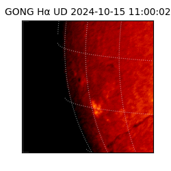 gong - 2024-10-15T11:00:02