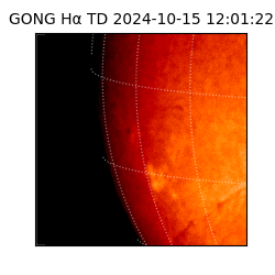 gong - 2024-10-15T12:01:22