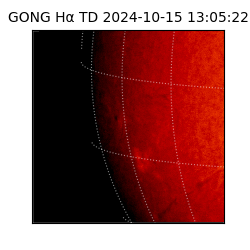 gong - 2024-10-15T13:05:22