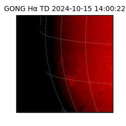 gong - 2024-10-15T14:00:22