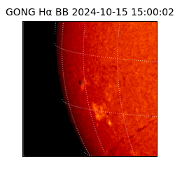 gong - 2024-10-15T15:00:02