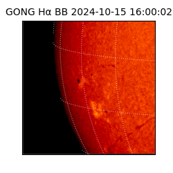 gong - 2024-10-15T16:00:02