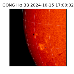 gong - 2024-10-15T17:00:02