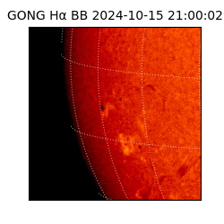 gong - 2024-10-15T21:00:02