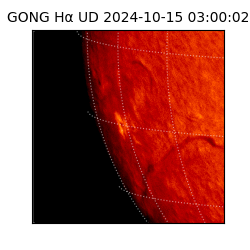 gong - 2024-10-15T03:00:02