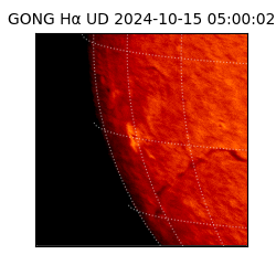 gong - 2024-10-15T05:00:02