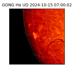 gong - 2024-10-15T07:00:02