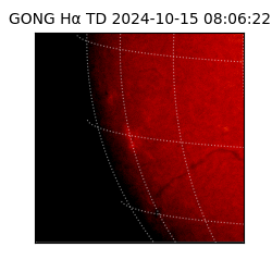 gong - 2024-10-15T08:06:22