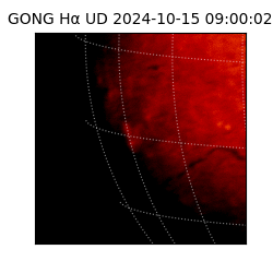 gong - 2024-10-15T09:00:02