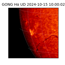 gong - 2024-10-15T10:00:02