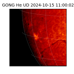 gong - 2024-10-15T11:00:02