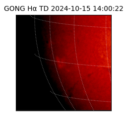 gong - 2024-10-15T14:00:22