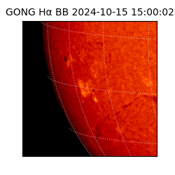 gong - 2024-10-15T15:00:02