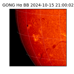 gong - 2024-10-15T21:00:02