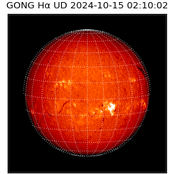 gong - 2024-10-15T02:10:02