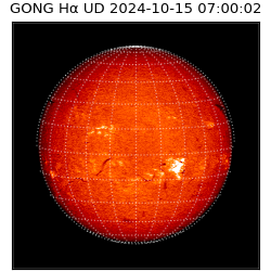 gong - 2024-10-15T07:00:02