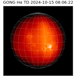 gong - 2024-10-15T08:06:22