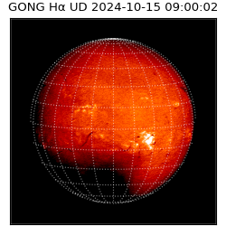 gong - 2024-10-15T09:00:02