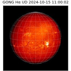 gong - 2024-10-15T11:00:02