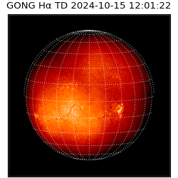 gong - 2024-10-15T12:01:22