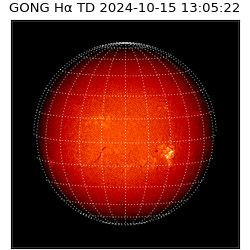 gong - 2024-10-15T13:05:22