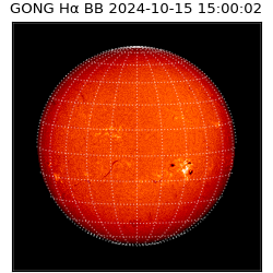 gong - 2024-10-15T15:00:02