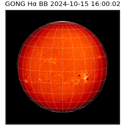 gong - 2024-10-15T16:00:02