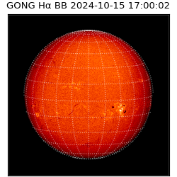 gong - 2024-10-15T17:00:02