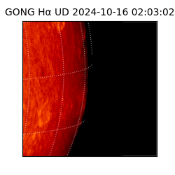 gong - 2024-10-16T02:03:02