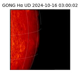 gong - 2024-10-16T03:00:02