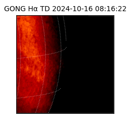 gong - 2024-10-16T08:16:22