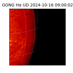 gong - 2024-10-16T09:00:02