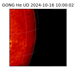 gong - 2024-10-16T10:00:02