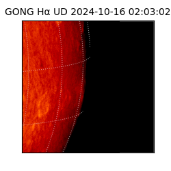 gong - 2024-10-16T02:03:02