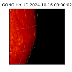 gong - 2024-10-16T03:00:02