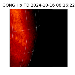 gong - 2024-10-16T08:16:22