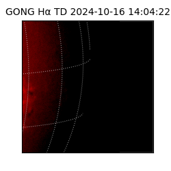 gong - 2024-10-16T14:04:22