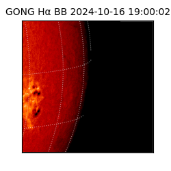 gong - 2024-10-16T19:00:02