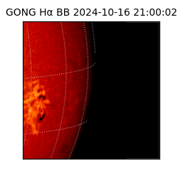 gong - 2024-10-16T21:00:02