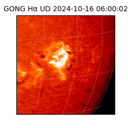 gong - 2024-10-16T06:00:02