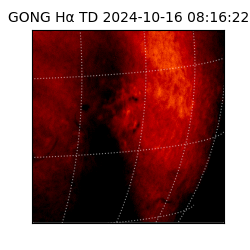 gong - 2024-10-16T08:16:22