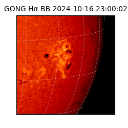 gong - 2024-10-16T23:00:02