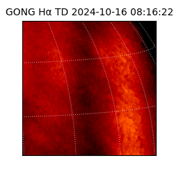 gong - 2024-10-16T08:16:22