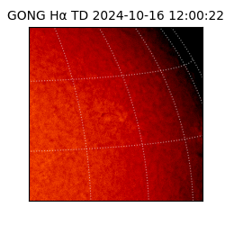 gong - 2024-10-16T12:00:22