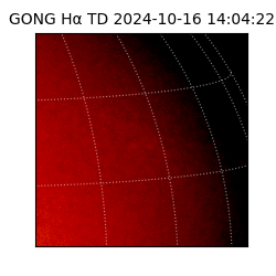 gong - 2024-10-16T14:04:22